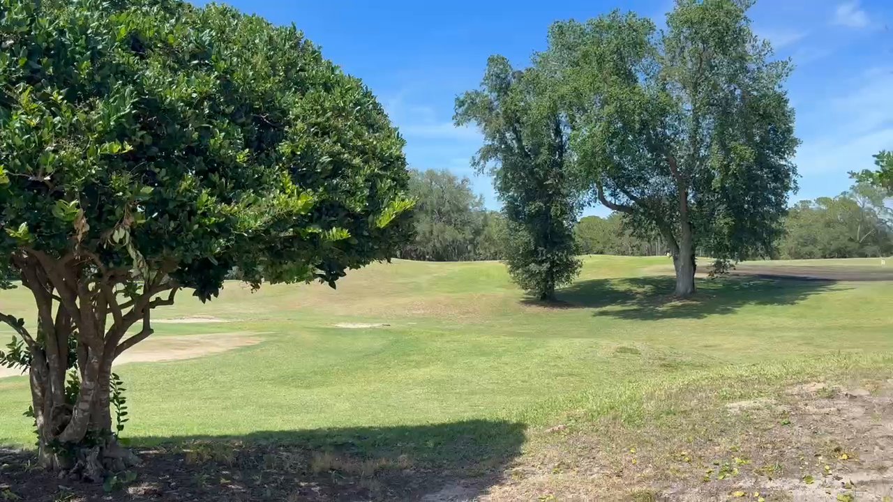 A wide grassy park with shade trees under a blue sky in Jacksonville.